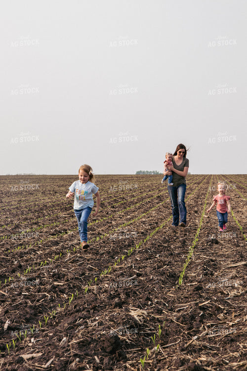 Female Farmer and Daughters Play in Emerging Corn Field 67290
