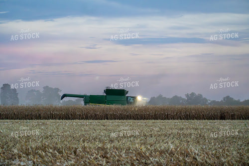 Corn Harvest 65525