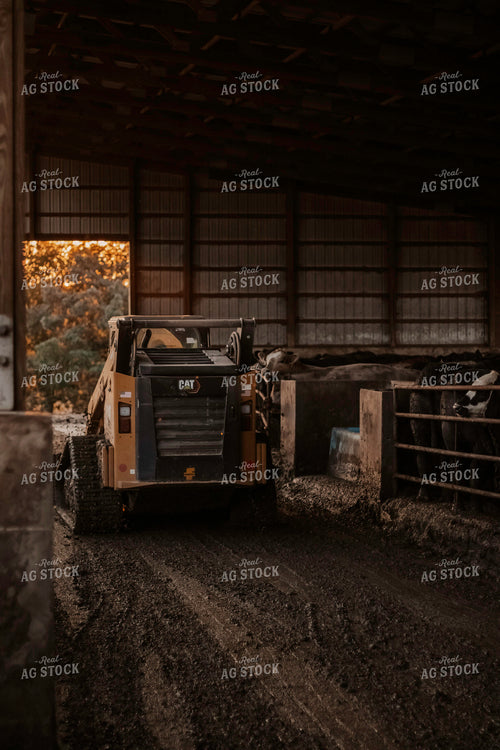 Skid Steer in Cattle Barn 108019