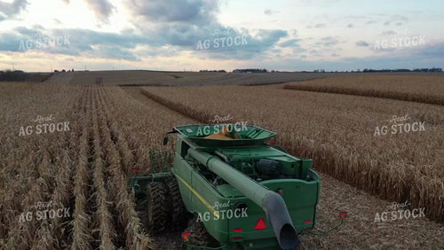 Aerial of Corn Harvest 250033