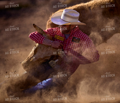 Rodeo 177045