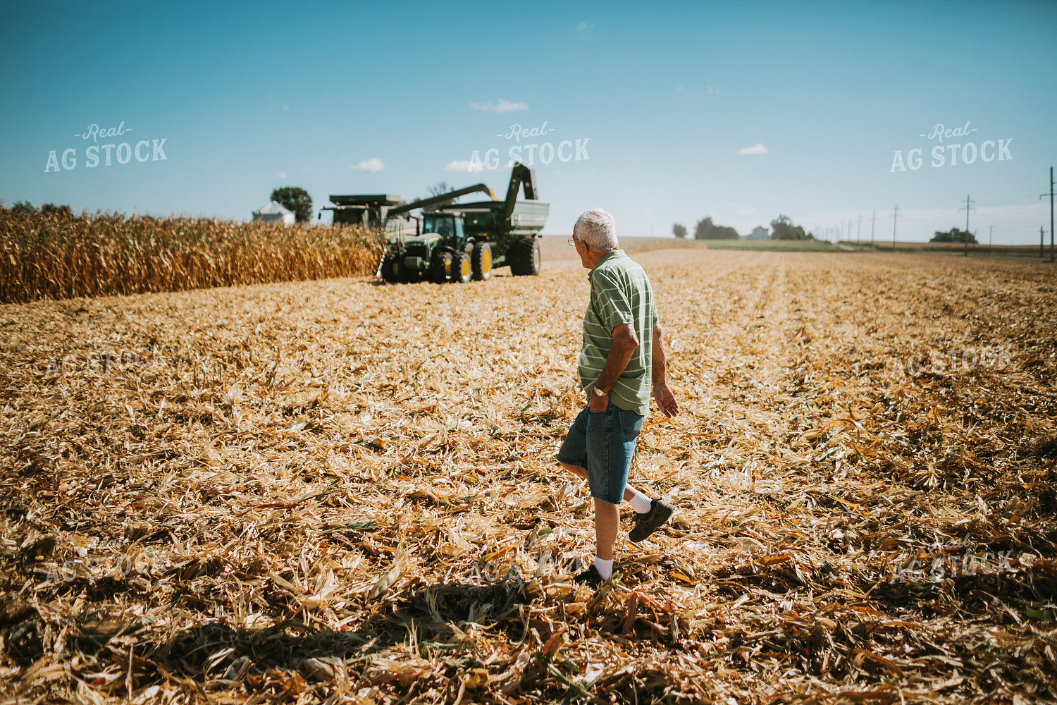 Farmer Grandpa Walking in Field 4699