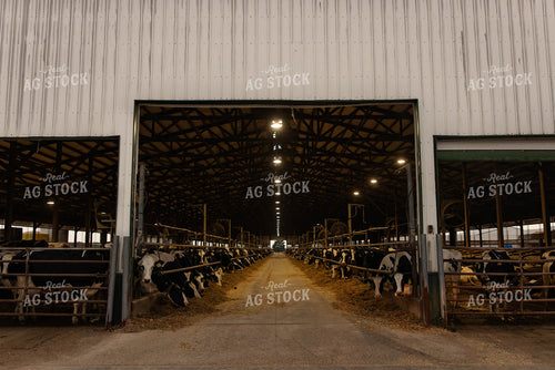 Open Air Dairy Barn 152546