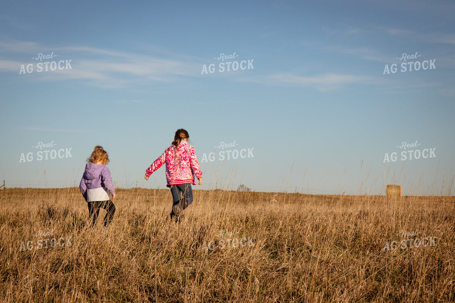 Farm Kids Walking in Pasture 268239