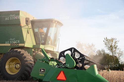 Soybean Harvest 50295