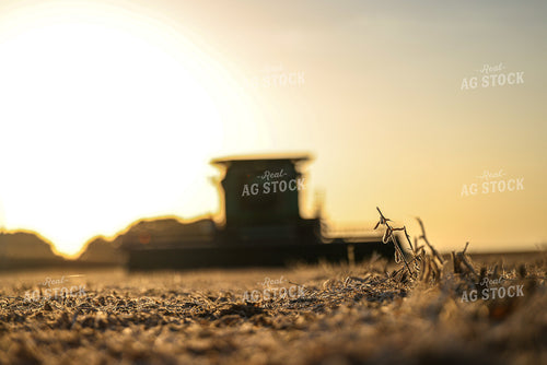 Soybean Harvest 160406