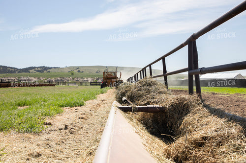 Feeding Cattle 117073