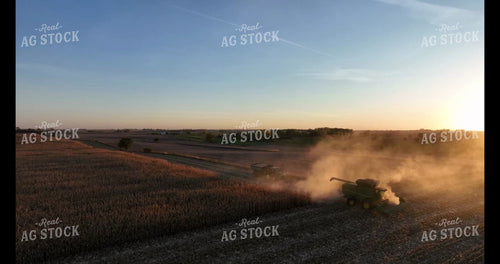 Moving Cattle 274047
