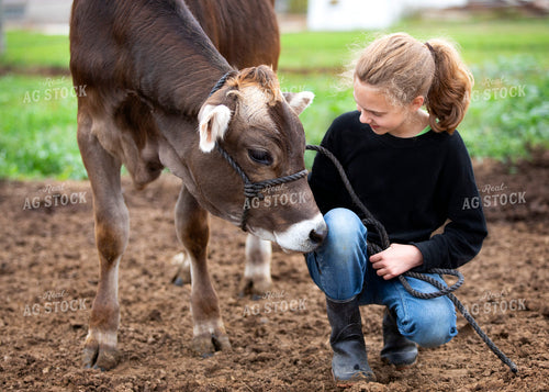 Farm Kid with Brown Swiss Calf 55406
