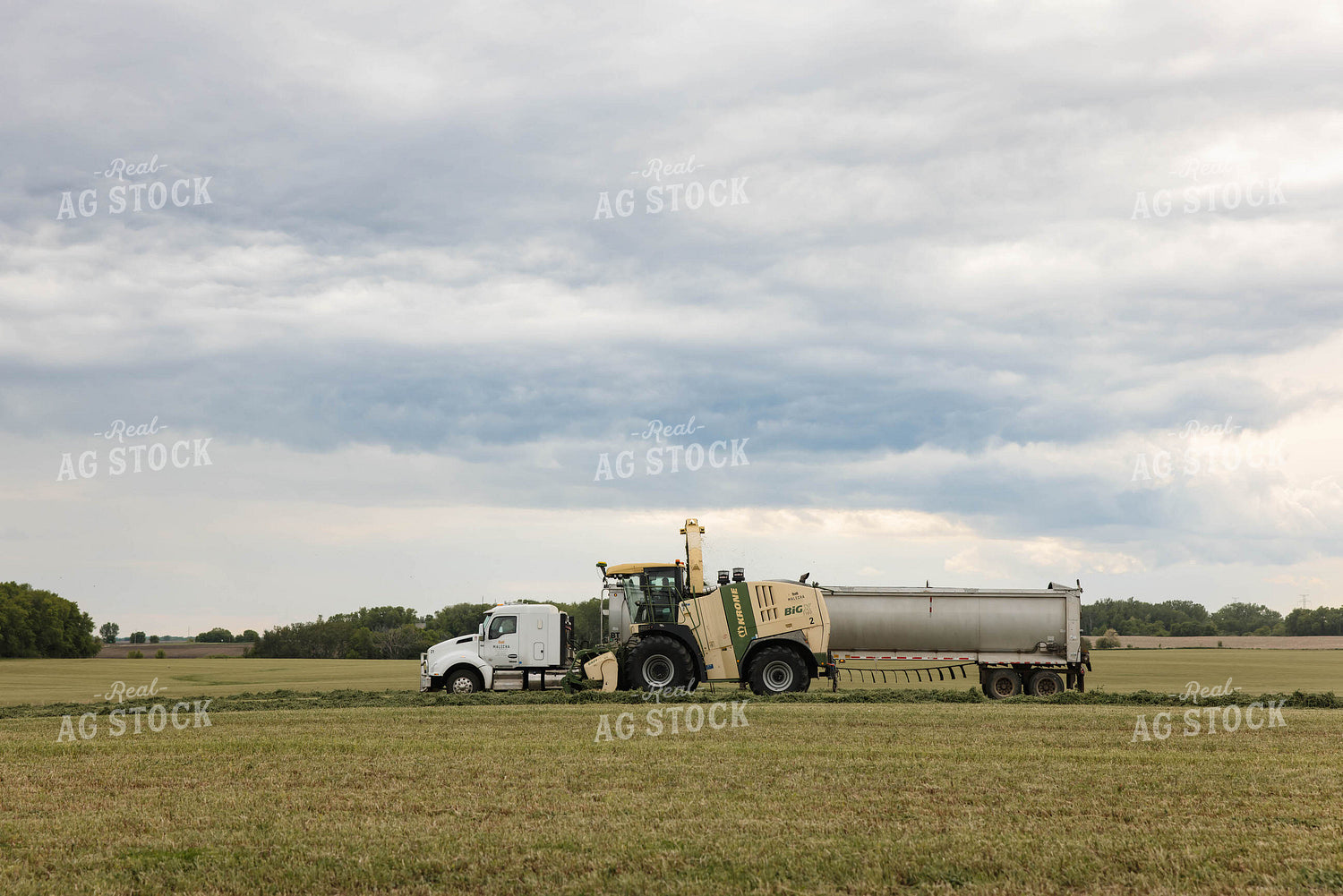 Harvesting Haylage 152804