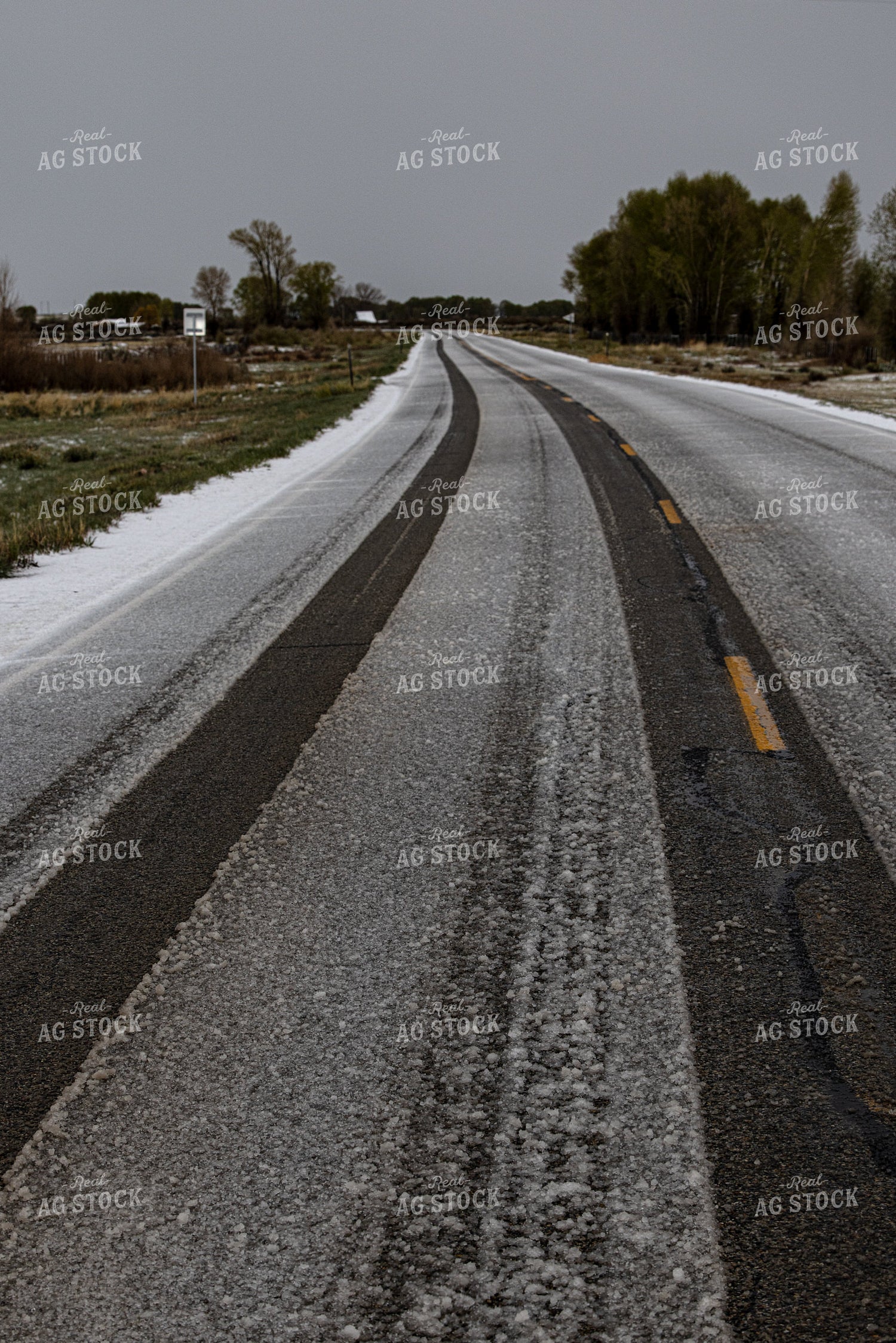 Snowy Road 304088