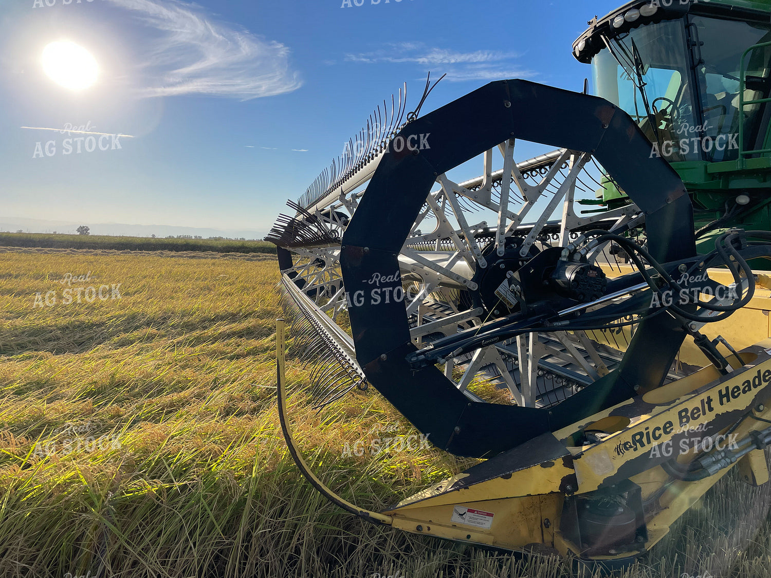 Rice Harvest 282004