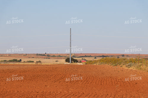 Field of Red Soil 60064