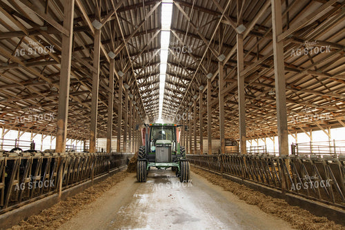 Feeding Cattle in Freestall Barn 152684