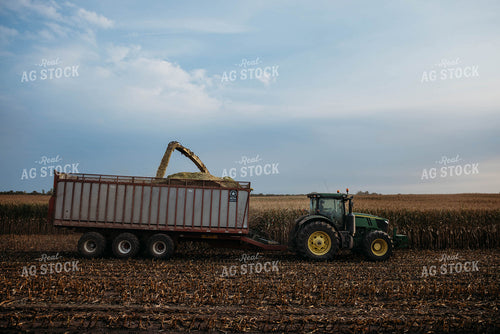 Chopping Corn Silage 152014