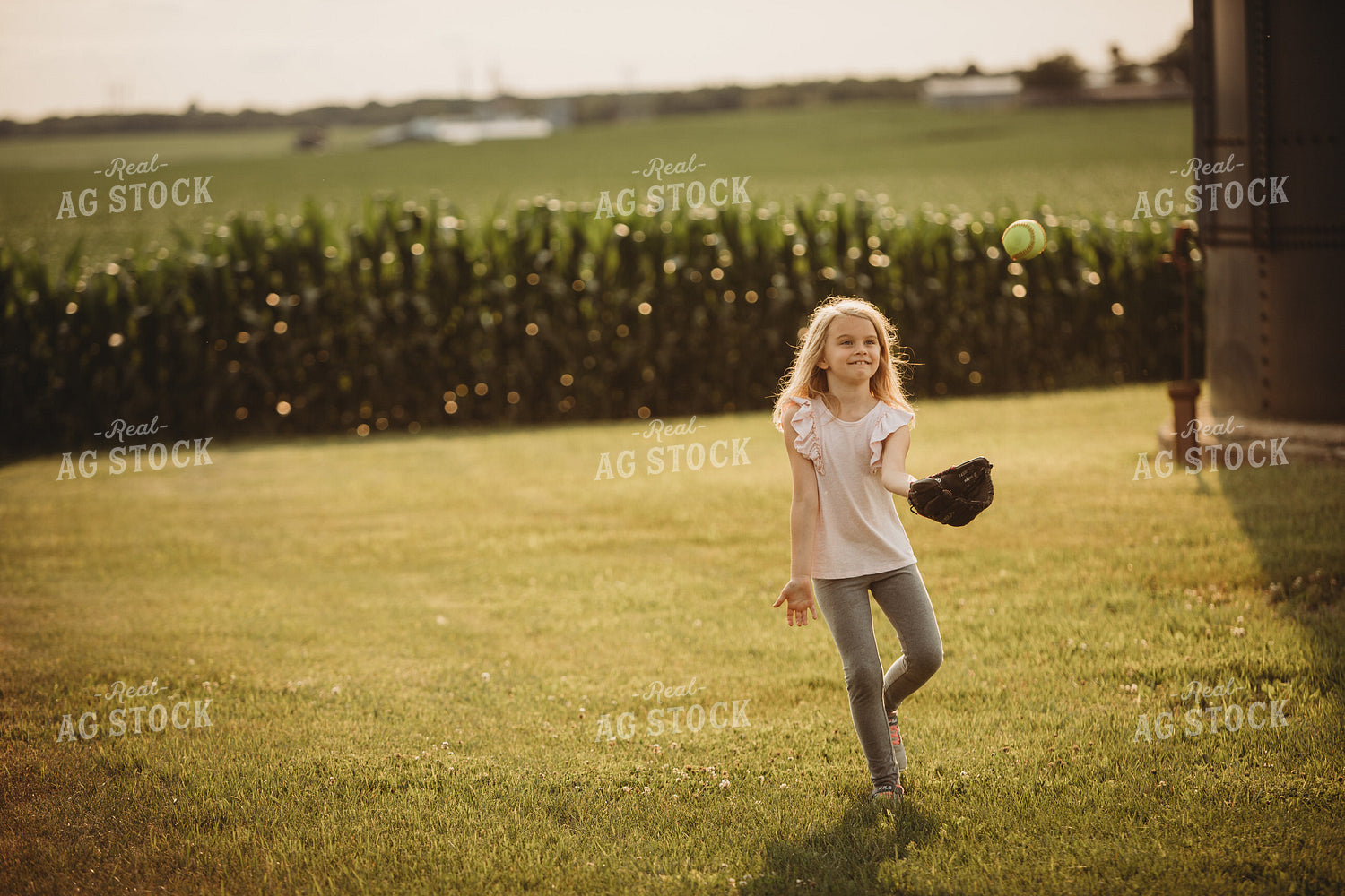 Farm Family Playing Catch Alongside Corn Field 4483