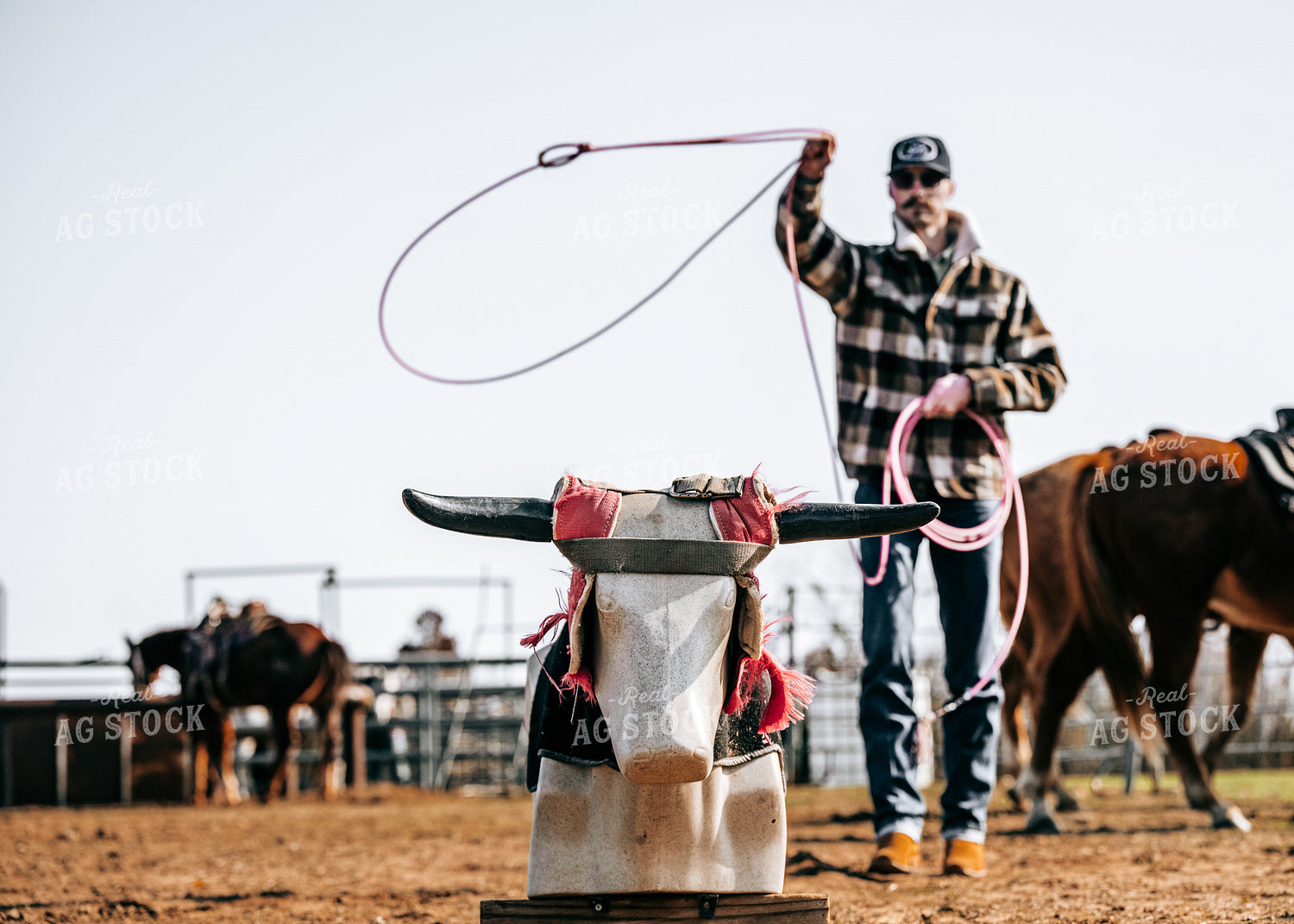 Roping 171023