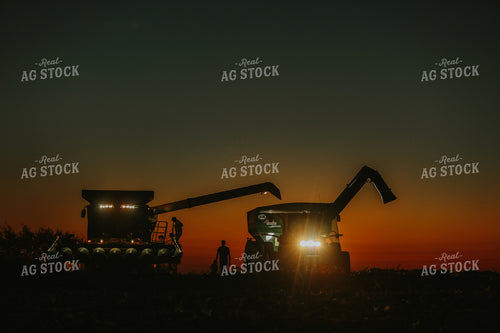 Family by Combine and Auger Cart at Sunset 5260