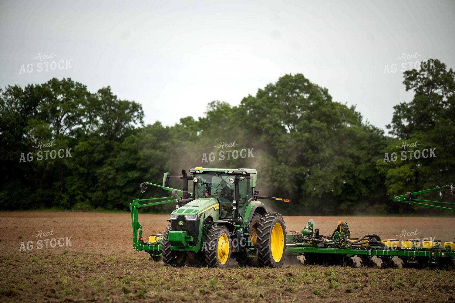 Planting 115677