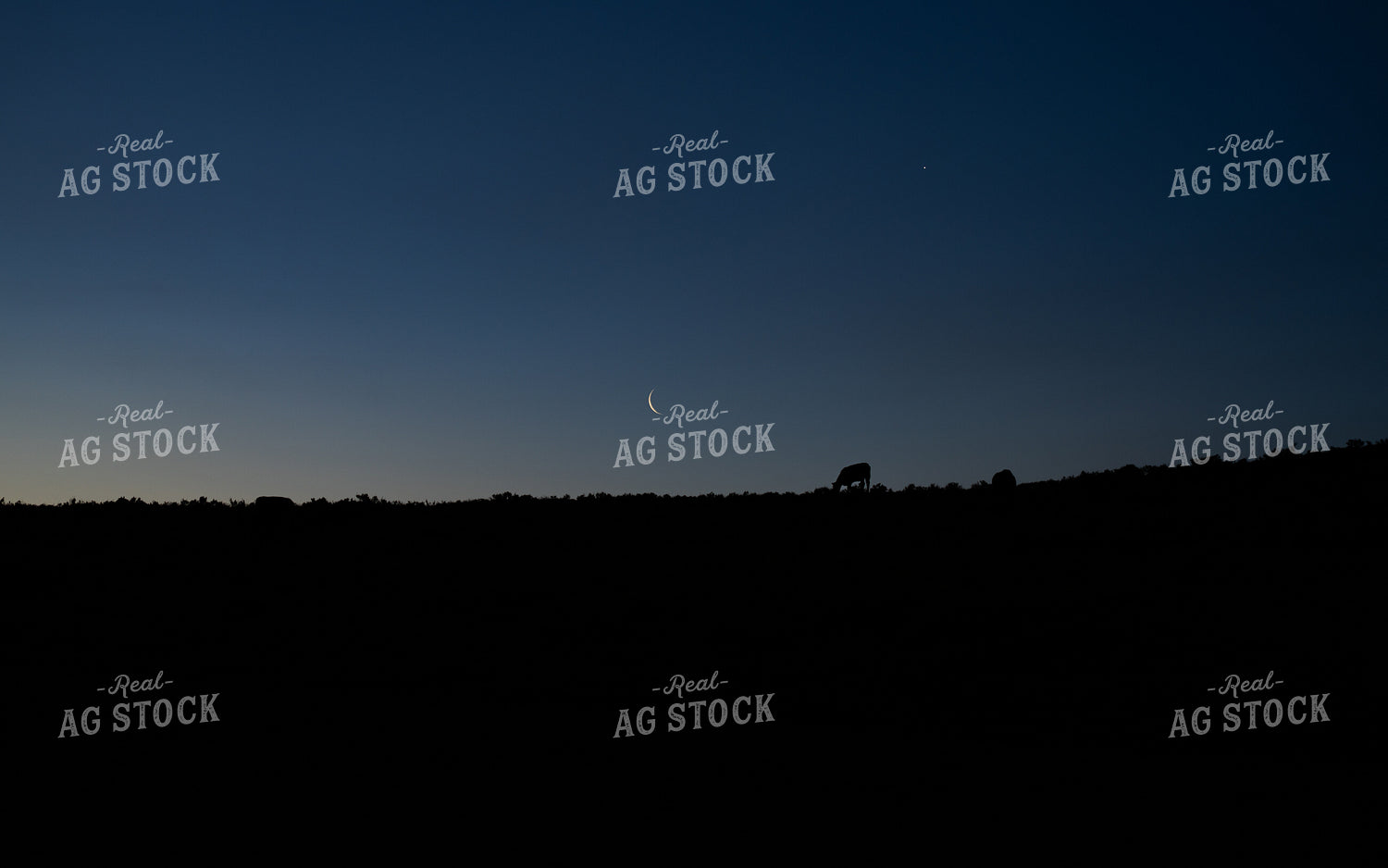Serene Twilight Scene with Crescent Moon and Grazing Wildlife Silhouettes 65239