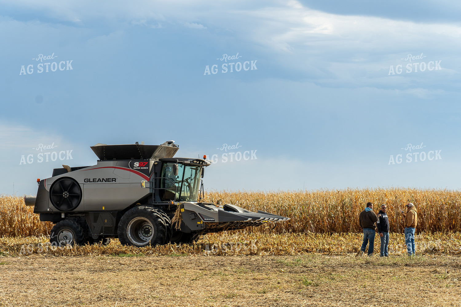 Farmers During Corn Harvest 65826