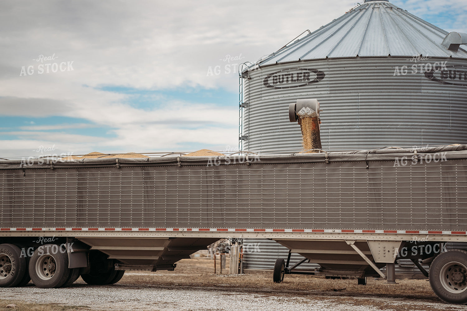 Loading Grain into Semi 196200
