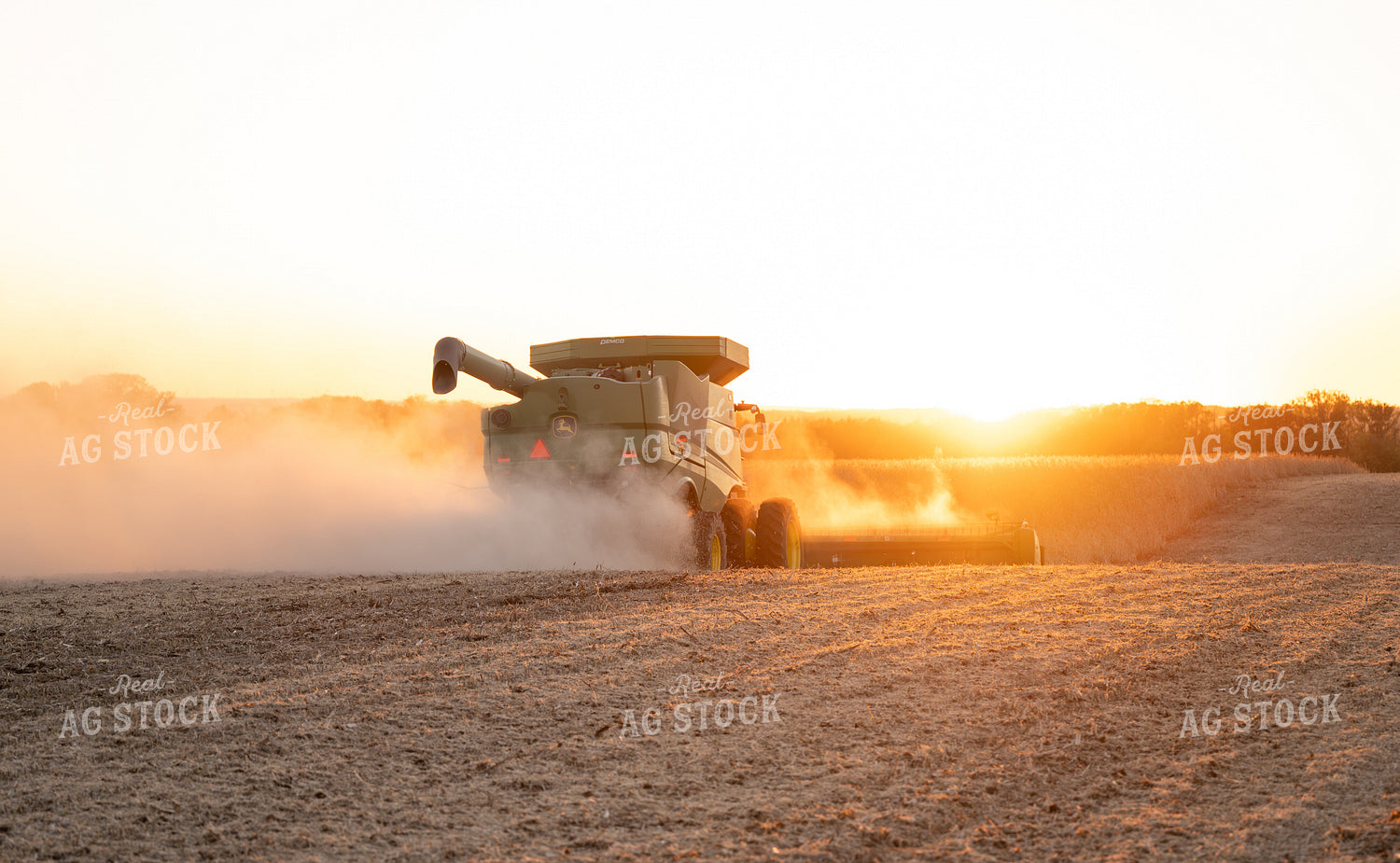 Soybean Harvest 170009