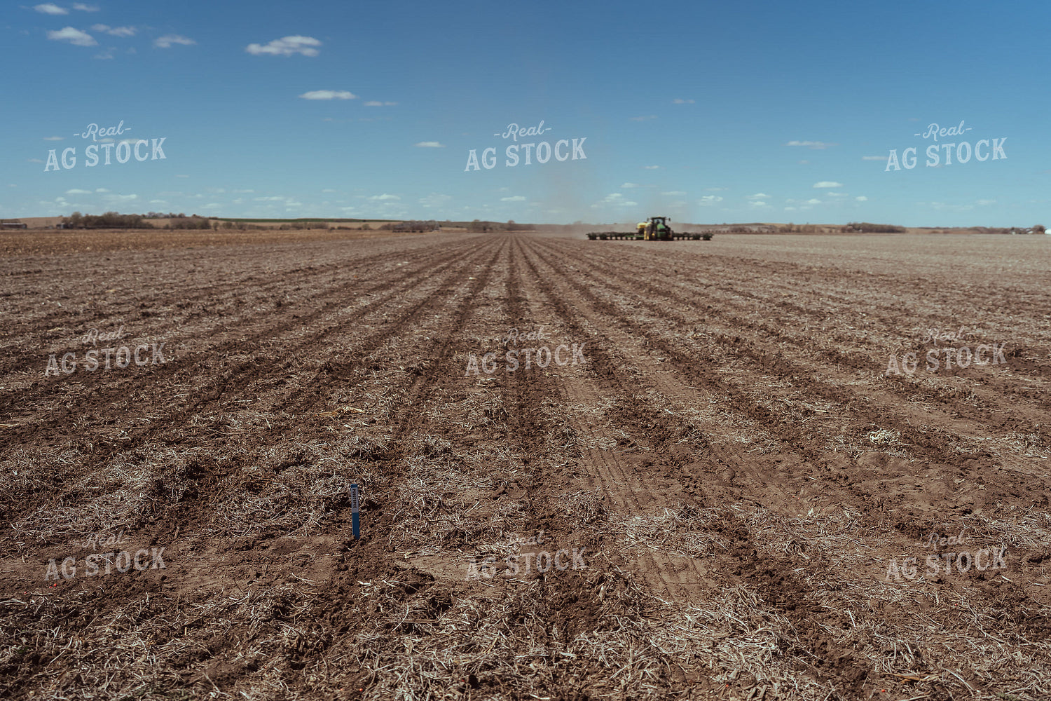 Planting Test Plot 196127
