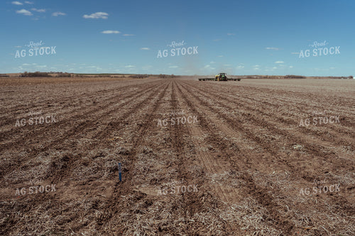 Planting Test Plot 196127