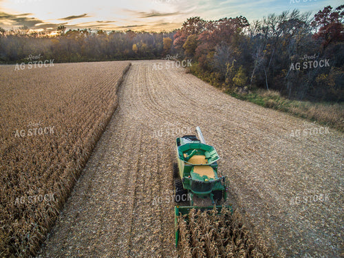 Aerial of Corn Harvest 250112