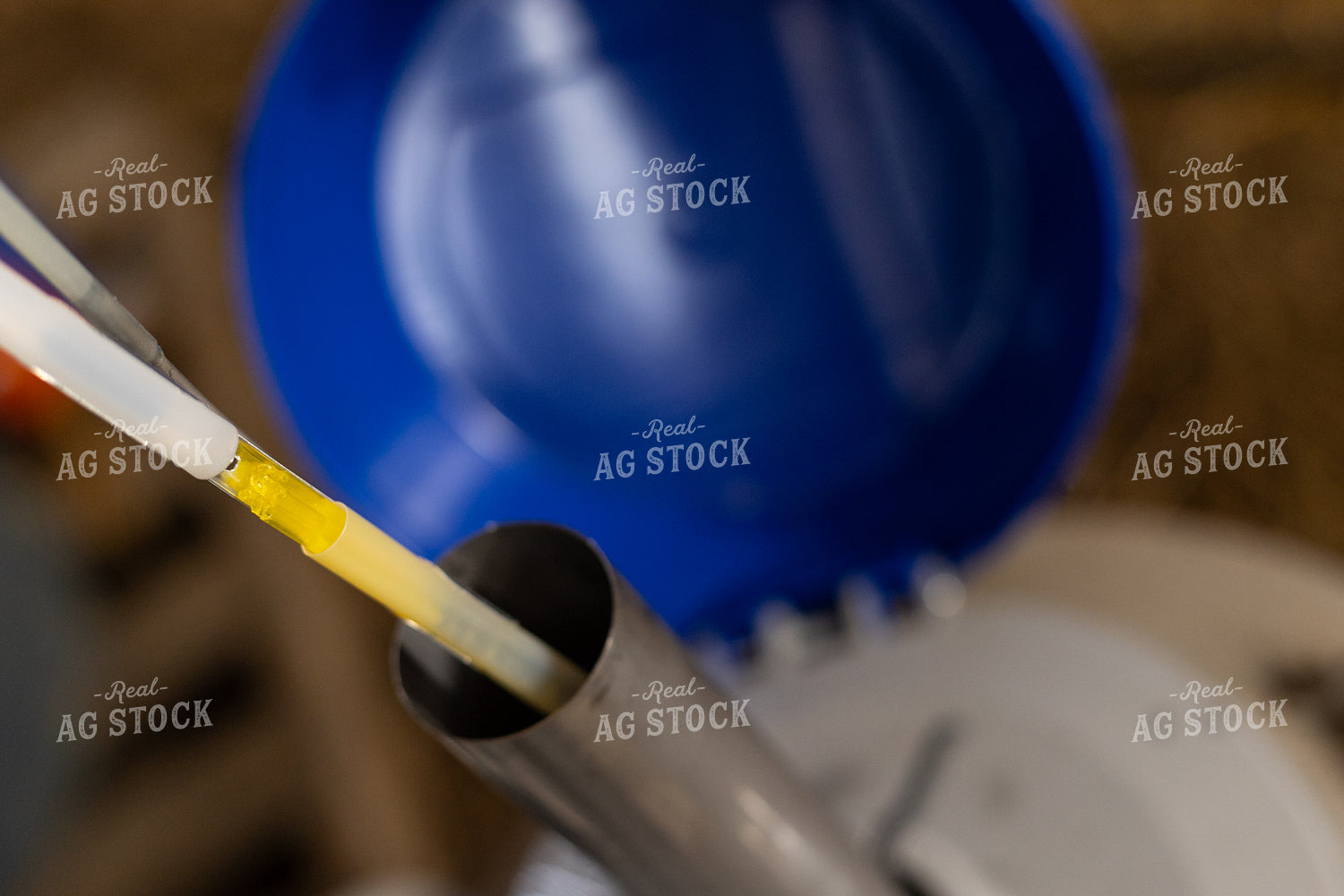 Bull Semen in Liquid Nitrogen Tank 52402