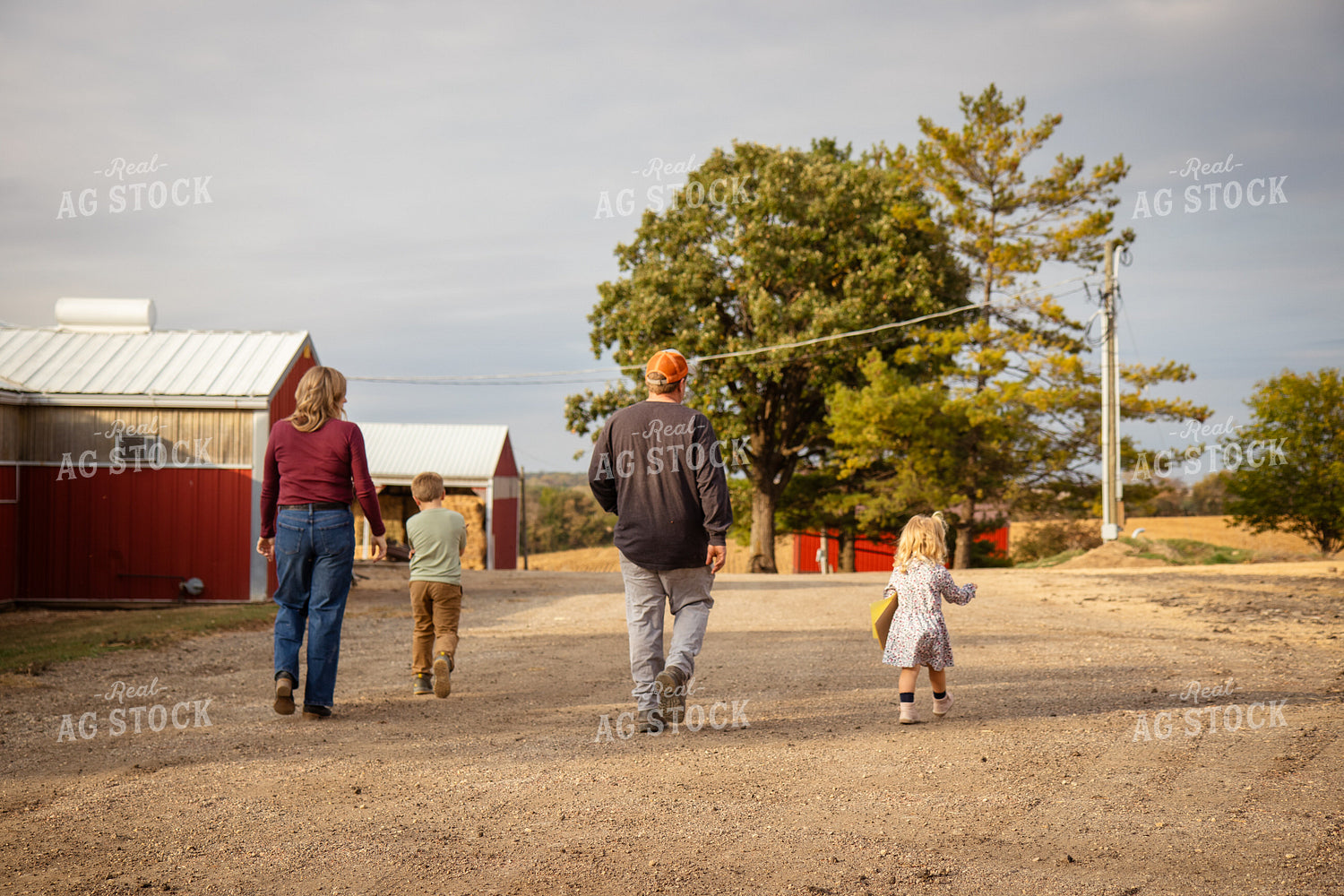 Family Walking Across Farmyard 268115