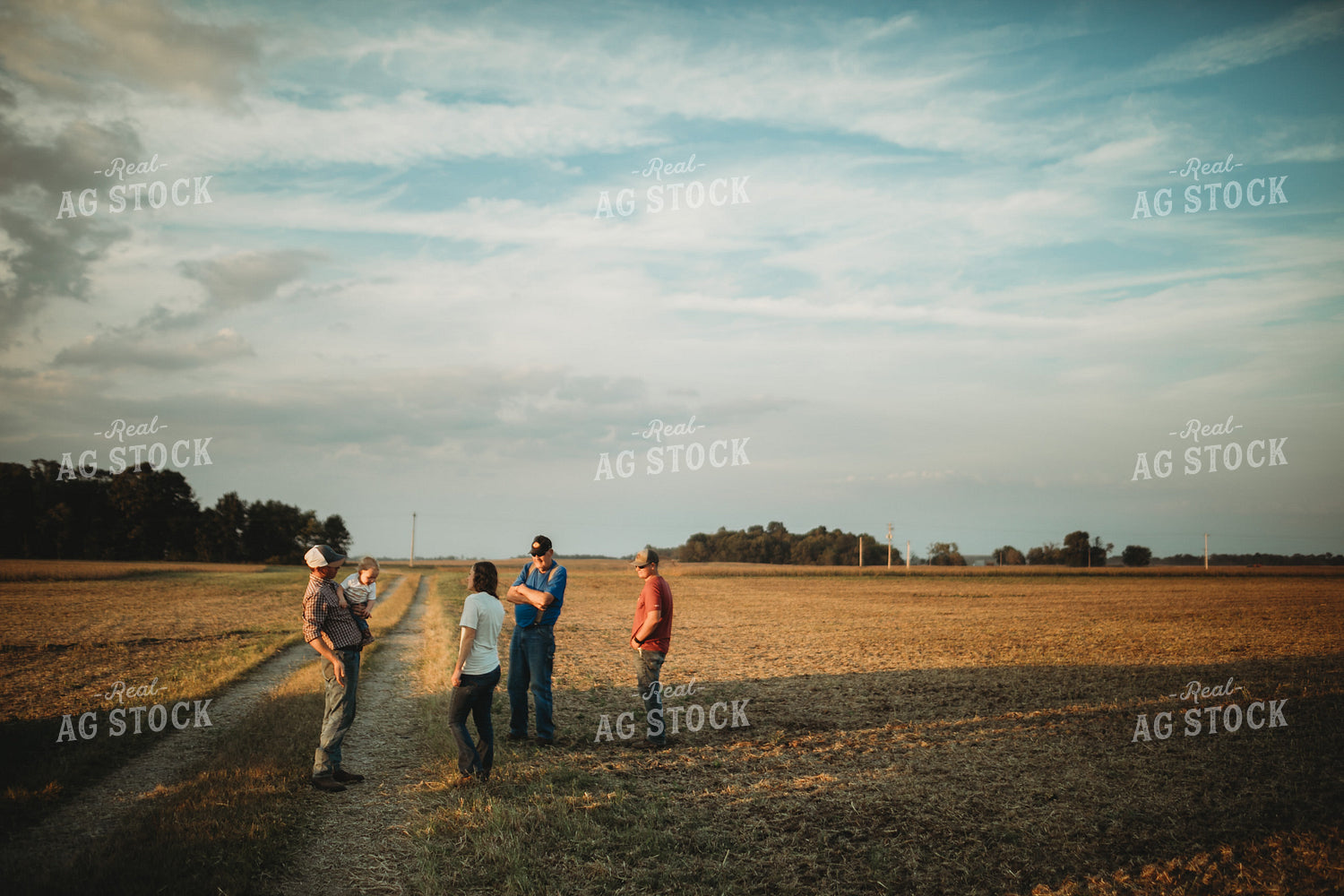 Farmers Talking During Soybean Harvest 4873