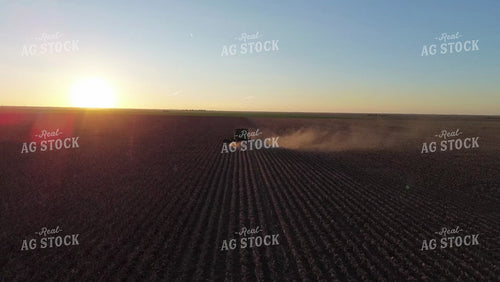 Cutting Sorghum 190026