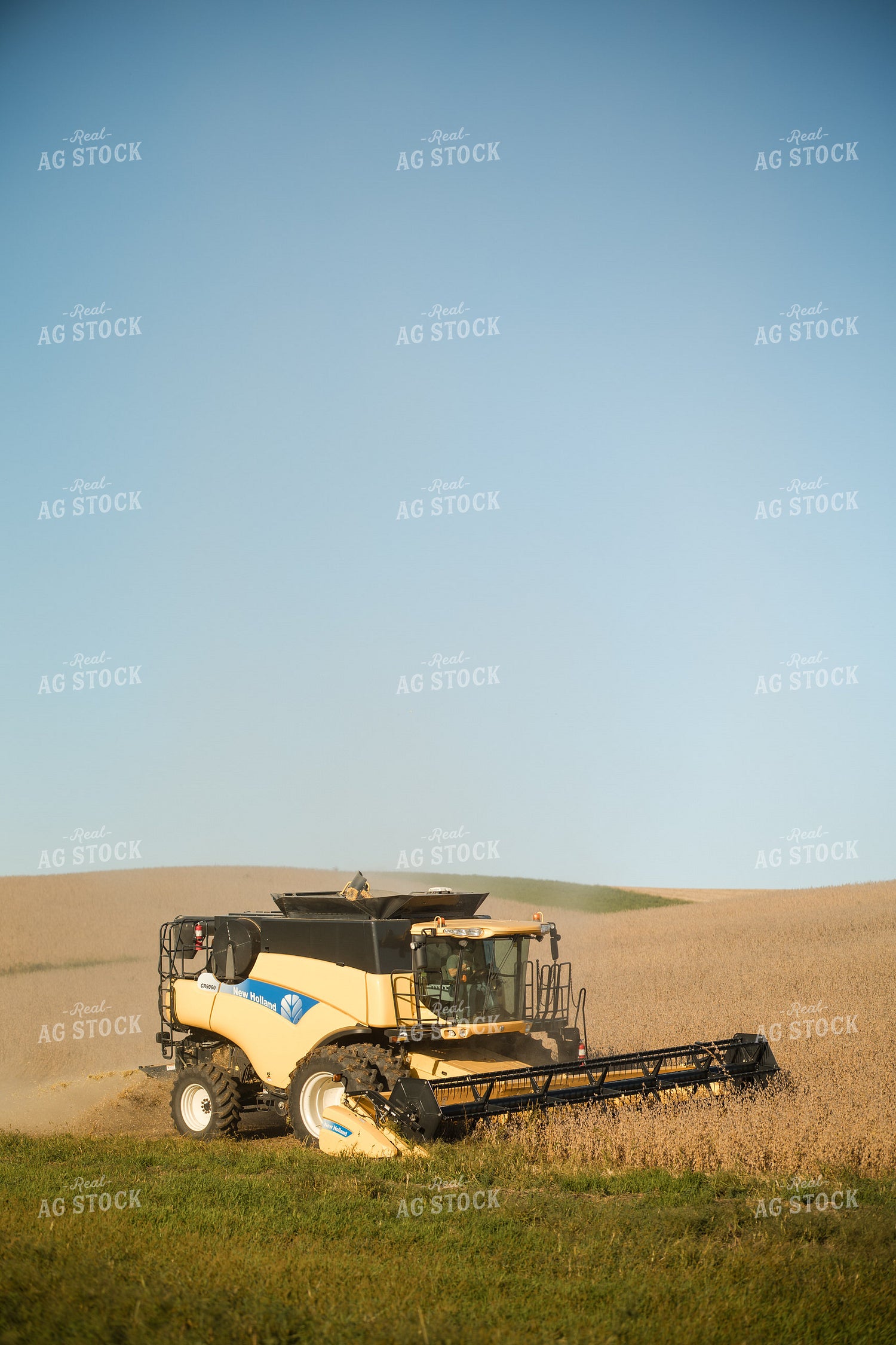 Soybean Harvest 215083