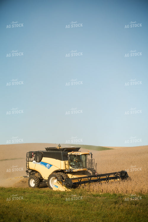 Soybean Harvest 215083