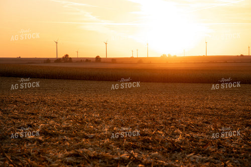 Sunset over Partially Harvested Corn Field 25849