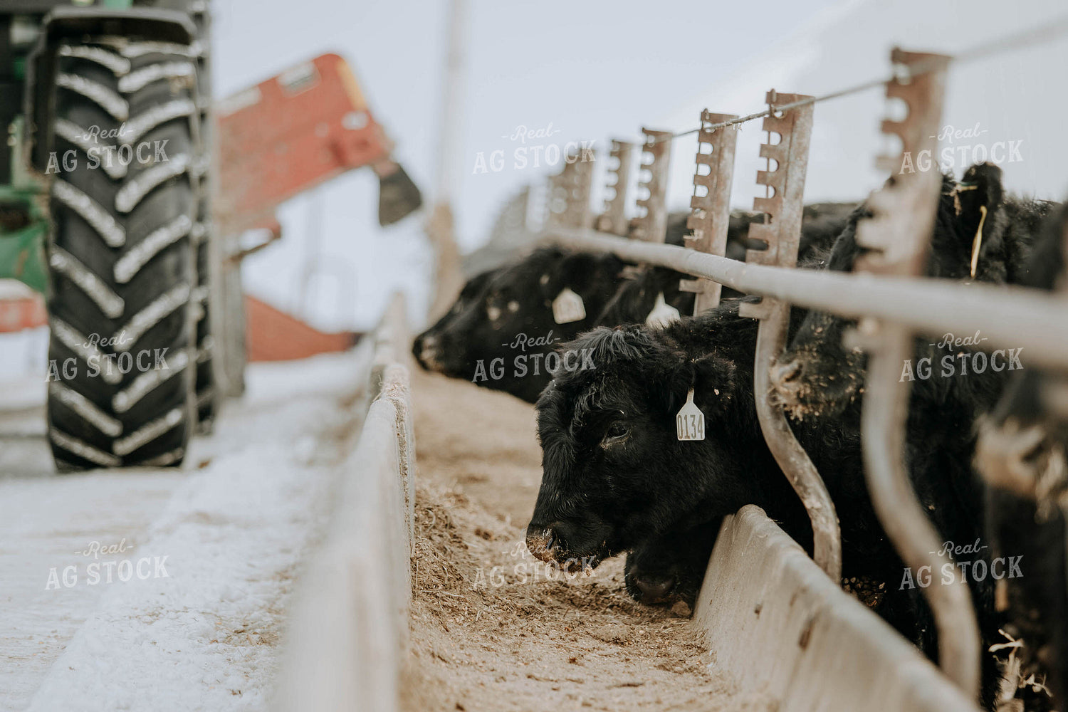 Feed Mixer Dispensing Food 77058