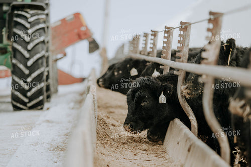 Feed Mixer Dispensing Food 77058