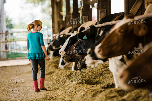 Dairy 2690