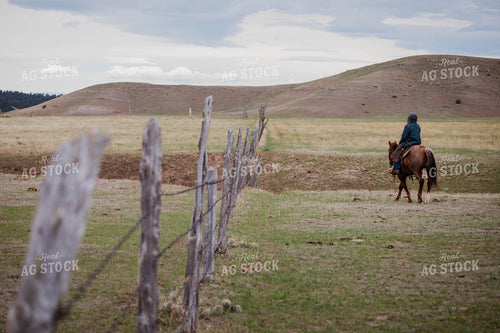 Rancher Rides Horse Along Fenceline 97143