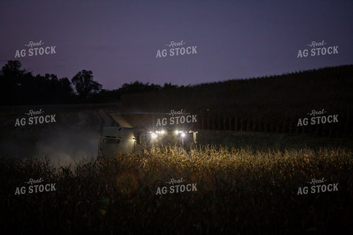 Corn Harvest 270636