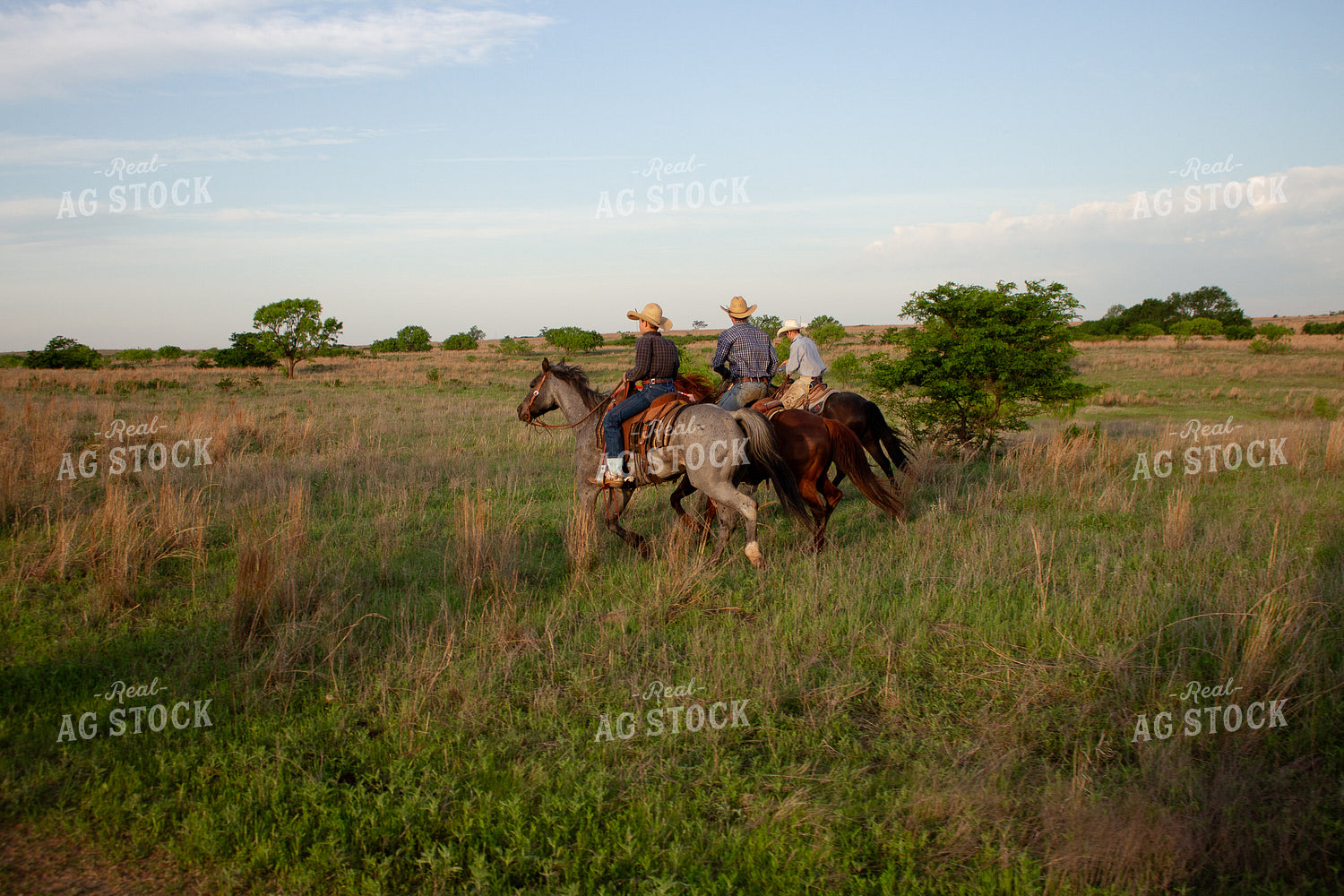 Ranchers on Horseback 205025