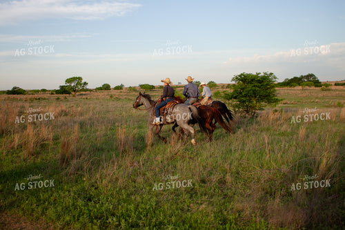 Ranchers on Horseback 205025