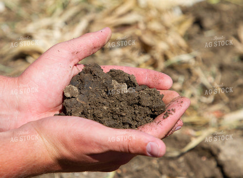 Handful of Soil 79140