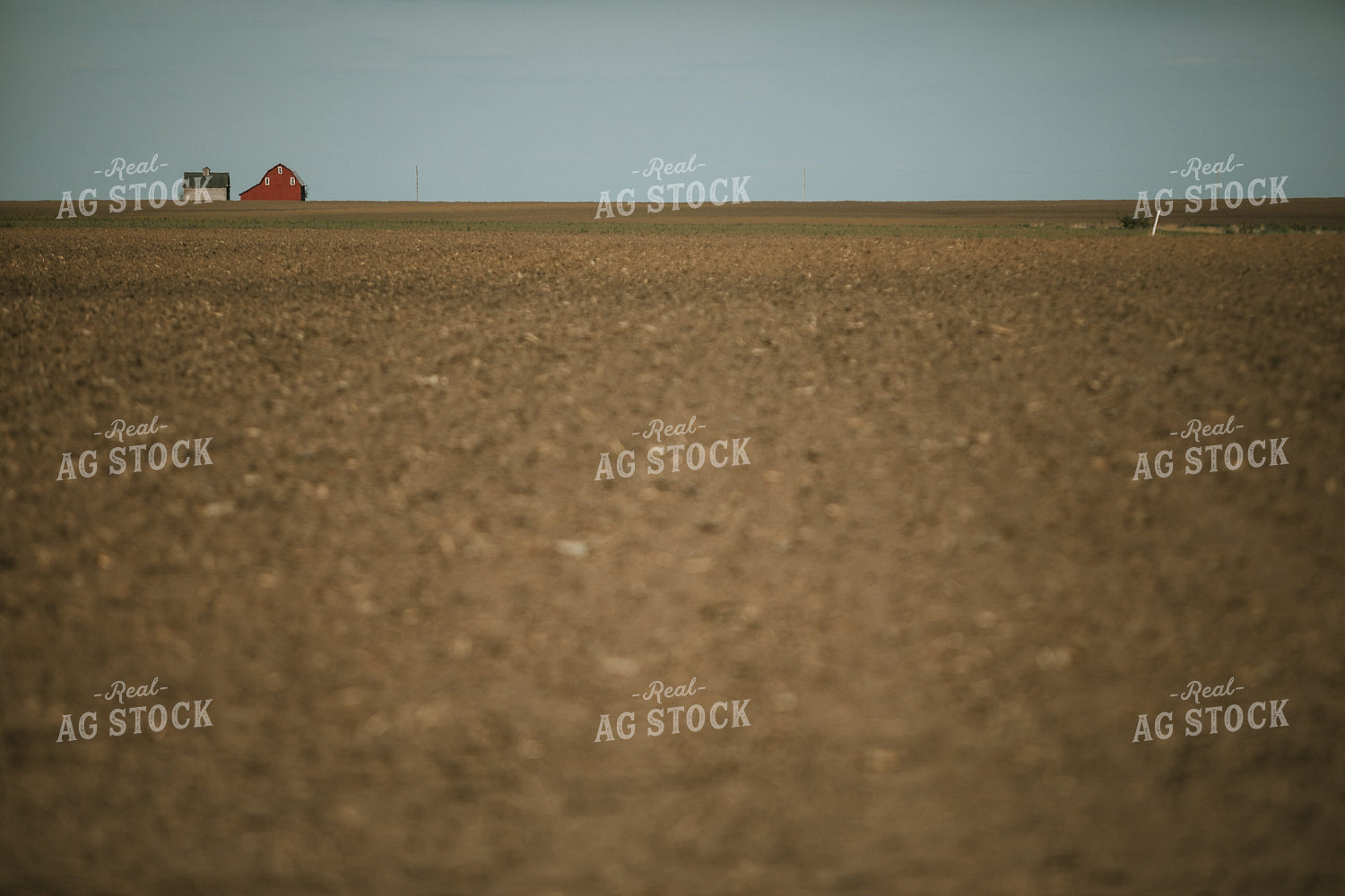 Newly Planted Field 4170