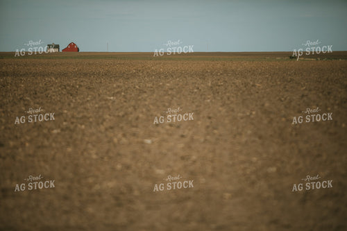 Newly Planted Field 4170