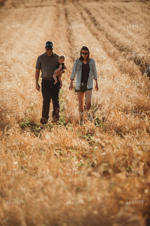 Farm Family Walking Soybean Field with Rye Cover Crop 5813
