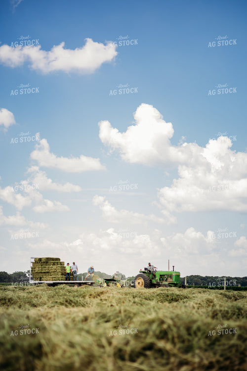 Baling Square Hay Bales 281035