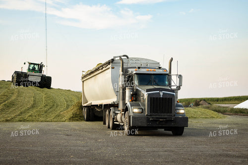Unloading and Packing Silage 152975